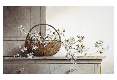 Spring Blossoms