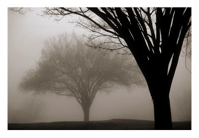 Buy Memories of Winter at AllPosters.com