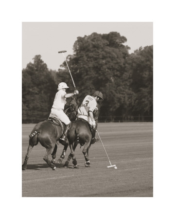 Buy Polo In The Park II at AllPosters.com