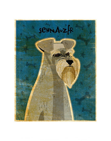 Schnauzer