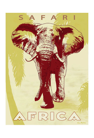 Safari Africa