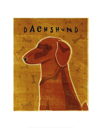 Dachshund (red)