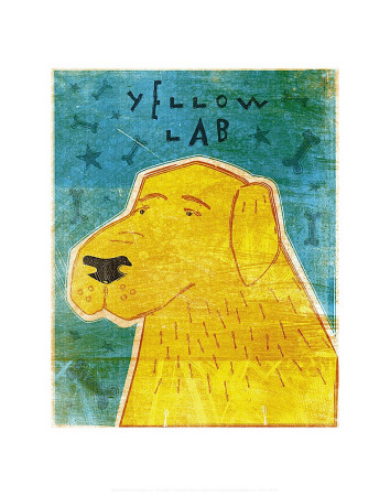 Lab (yellow)