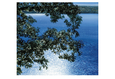 Silver Light, 2006