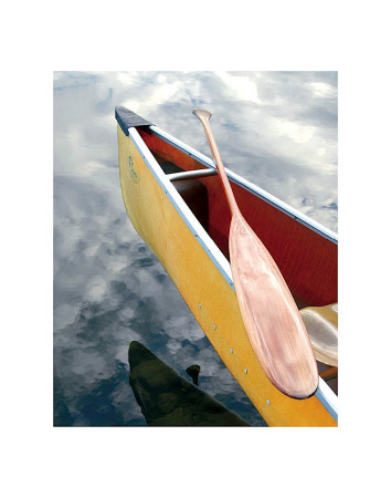 Buy Still at AllPosters.com