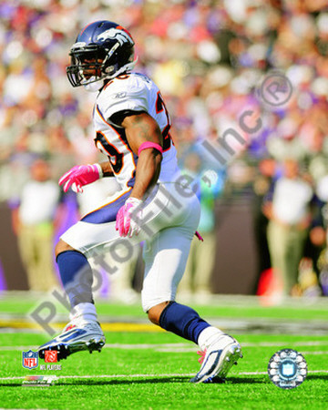 Brian Dawkins 2010 Action