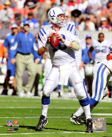 Buy Peyton Manning 2010 Action at AllPosters.com