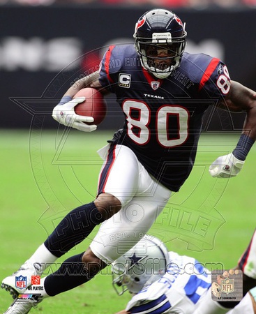 Andre Johnson 2010 Action