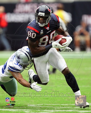 Andre Johnson 2010 Action