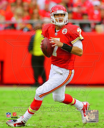 Buy Matt Cassel 2010 Action at AllPosters.com