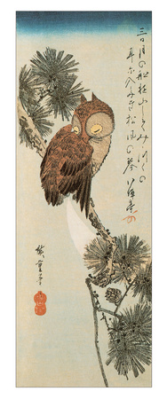 A Little Brown Owl on a Pine Branch with a Crescent Moon Behind