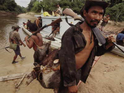 Buy Stopping Along Itaquai River the Men Hunt for Dinner at AllPosters.com