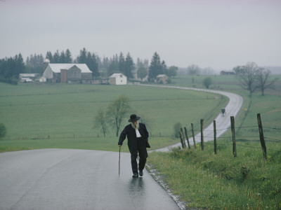 Buy An 81 Year Old Amish Man Walks to the Amish Church on Sunday Morning at AllPosters.com