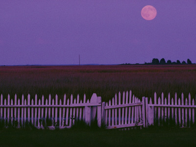 Buy Full Moon Rising over a Picket Fence at Rhodes Point at AllPosters.com