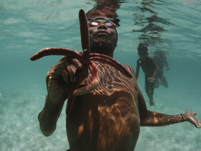 Buy A Moken Diver Holding a Starfish, and Others Swimming at AllPosters.com