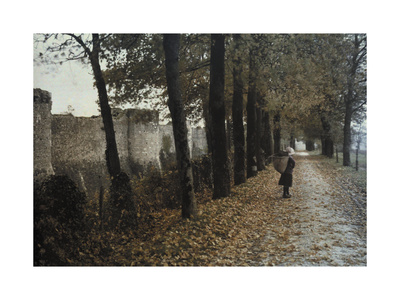 Buy A Woman in a Traditional Bonnet and Wicker Dosser Walks Down a Path at AllPosters.com
