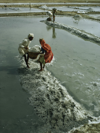 Buy Workers Haul Salt from Evaporation Pans to Be Used in Chemicals at AllPosters.com