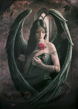 Ann Stokes  Angel Rose