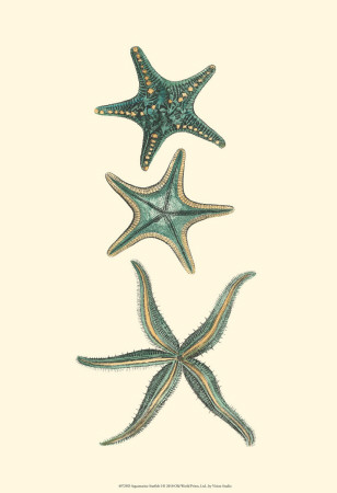 Buy Aquamarine Starfish I at AllPosters.com