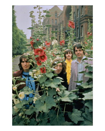 The Beatles