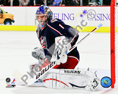 Buy Steve Mason 2010-11 Action at AllPosters.com