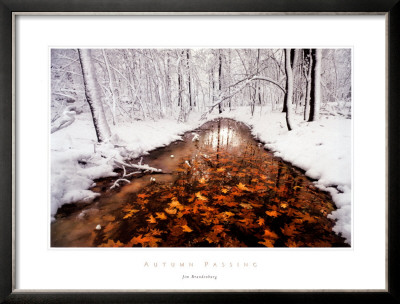 Buy Autumn Passage at AllPosters.com