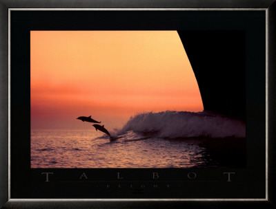 Buy Flight at AllPosters.com
