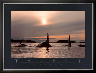 Buy Twilight at AllPosters.com