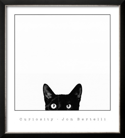 Curiosity