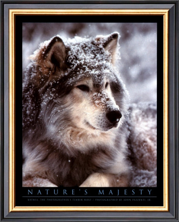 Buy Timber Wolf at AllPosters.com