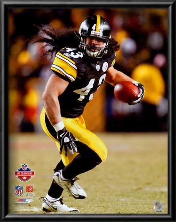 Troy Polamalu 2008 AFC Championship