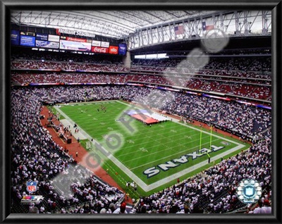 Reliant Stadium 2009