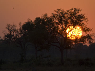 Sunset in the Okavango Delta Area of Botswana