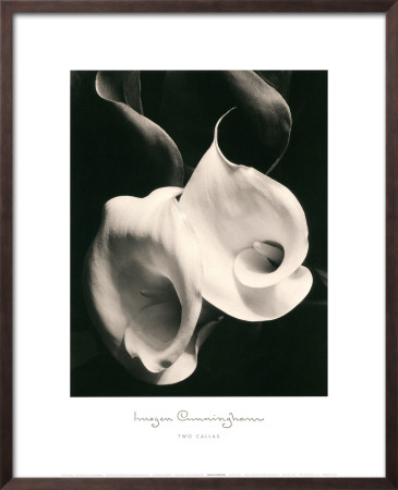 Buy Two Callas at AllPosters.com