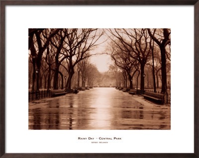 Rainy Day, Central Park Framed Art Print