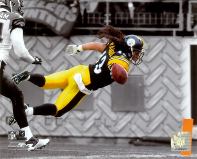 Troy Polamalu 2010 Spotlight Action