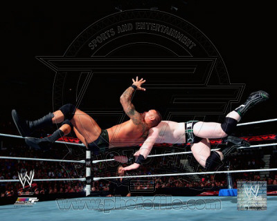 Buy Randy Orton 2010 Action at AllPosters.com