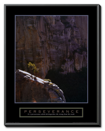 Perseverance: Lone Pinyon Tree