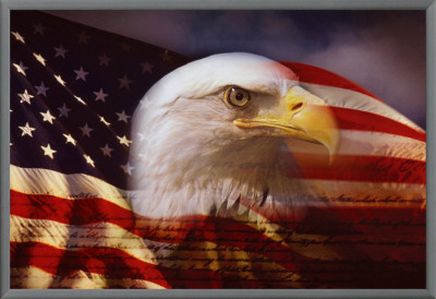 Patriotic Focus