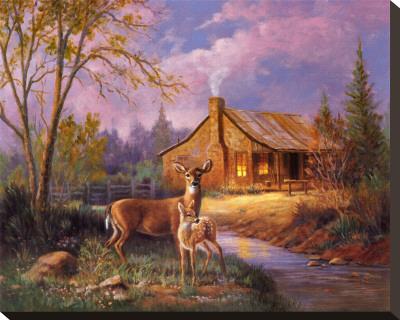 Deer Near Cabin