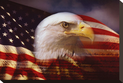 Patriotic Focus