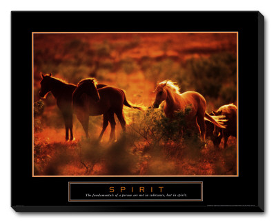 Spirit: Horses