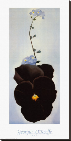 Pansy, 1926