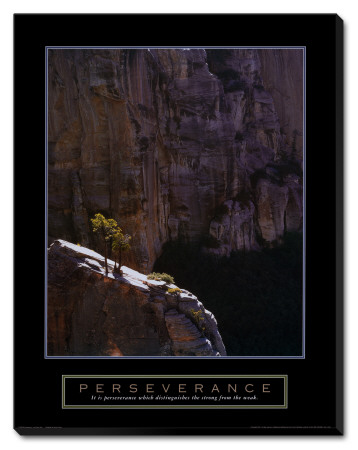 Perseverance: Lone Pinyon Tree