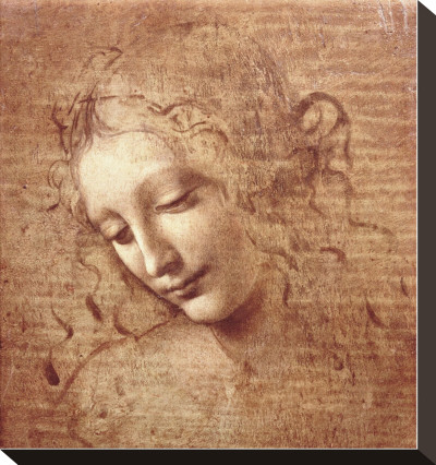 Buy Female Head (La Scapigliata), c.1508 at AllPosters.com