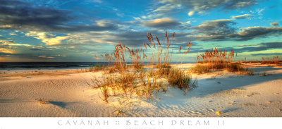 Beach Dream II