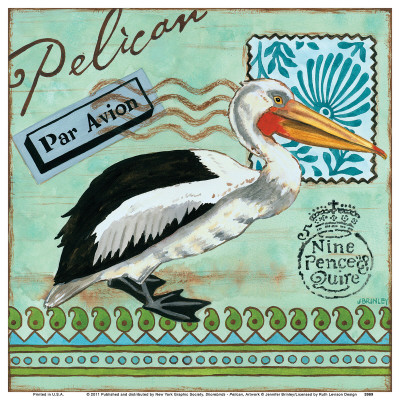 Shorebirds, Pelican