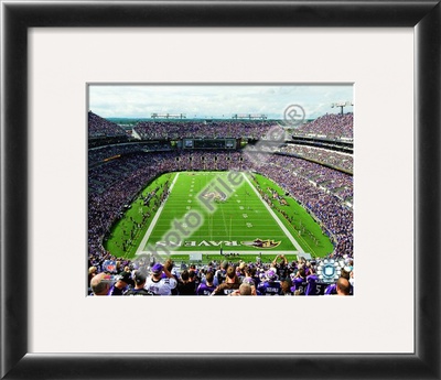 M&T Bank Stadium 2009
