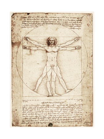 Buy Vitruvian Man at AllPosters.com