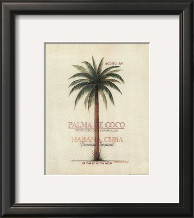 Palma de Coco